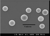 grains de silice au microscope electronique